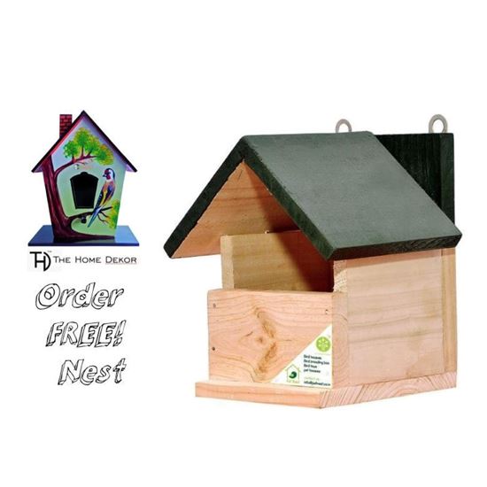 Save birds by placing Wooden nest at Home